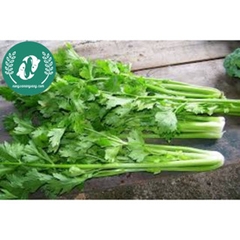 Hạt giống rau cần tây