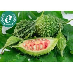 Hạt giống mướp đắng (khổ qua)