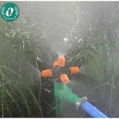 Đầu vòi tưới cây 5 đầu