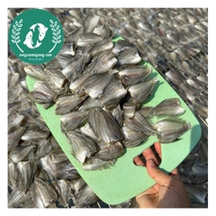 Khô cá sặc đồng