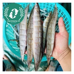 Khô cá chạch đồng 2 nắng