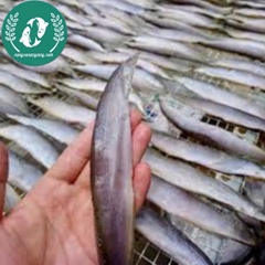Khô cá chạch đồng 2 nắng