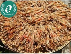 Khô nháy (kiều nữ chân dài)