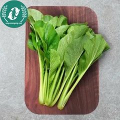 Hạt giống cải ngọt