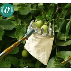 Dụng cụ hái trái 16m