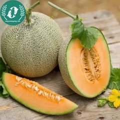 Hạt giống dưa lưới ruột vàng