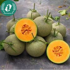 Hạt giống dưa lưới ruột vàng