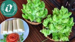 Hạt giống cải mầm đá