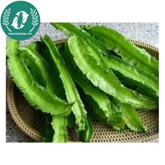 Hạt giống đậu rồng