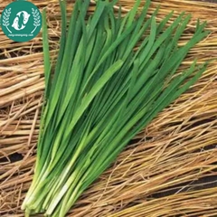 Hạt giống hẹ lá