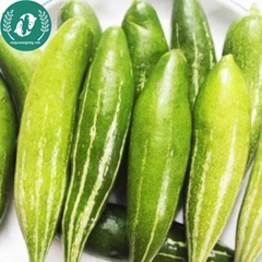 Hạt giống quả lặc lày (mướp ngọt)