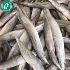 Khô cá chạch đồng 2 nắng