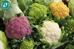 Hạt giống súp lơ mix màu