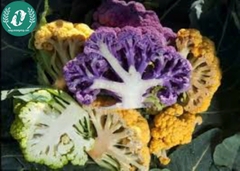 Hạt giống súp lơ mix màu