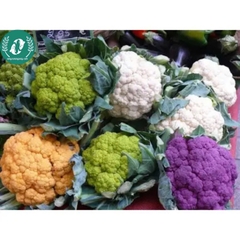 Hạt giống súp lơ mix màu