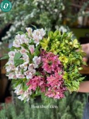 Hạt giống Hoa Thủy Tiên