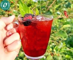 Nước cốt dâu tằm