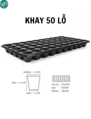 Khay ươm hạt giống