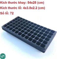Khay ươm hạt giống