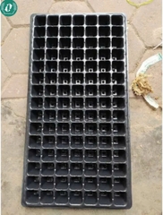 Khay ươm hạt giống