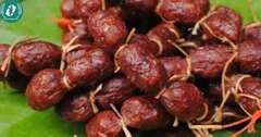 Tung lò mò (loại đặc biệt)