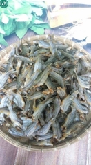 Khô cá chốt