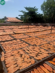 Khô cá mối xốp không xương