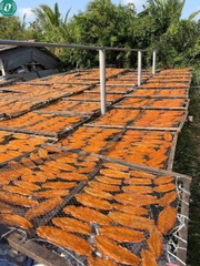 Khô cá mối xốp không xương
