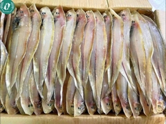 Khô cá lưỡi trâu 3 nắng
