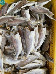 Khô cá đù 3 nắng