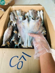 Khô cá đù 3 nắng