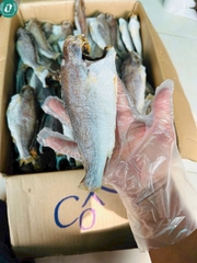 Khô cá đù 3 nắng