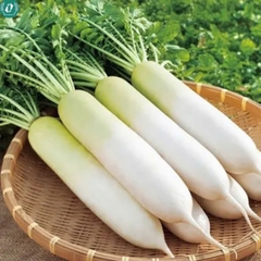 Hạt giống củ cải trắng