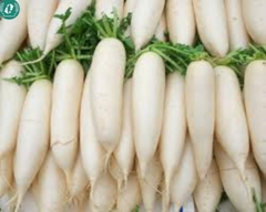 Hạt giống củ cải trắng