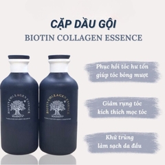 Cặp gội xả Biotin Essence #xanh (tóc dầu)