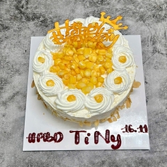 Bánh Kem Bắp 01