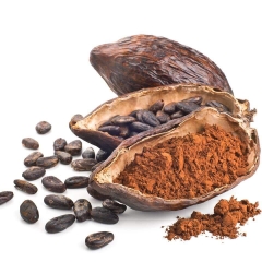 Ca Cao Nguyên Chất Đăk Lăk - hộp 500gr