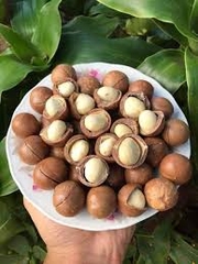 Hạt Mắc Ca Nứt Vỏ Đăk Lăk - hộp 500gr