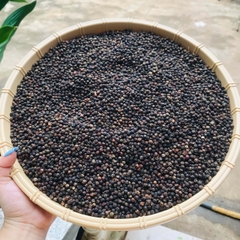 Tiêu Đen Siêu Cay Đăk Lăk - hộp 500gr