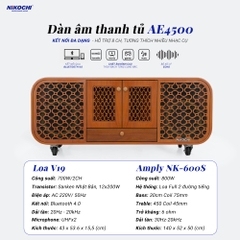 DÀN ÂM THANH TỦ AE4500 !