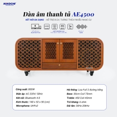 DÀN ÂM THANH TỦ AE4500
