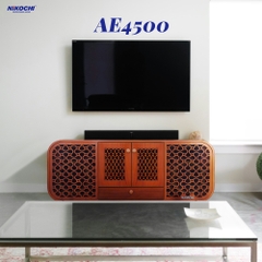 DÀN ÂM THANH TỦ AE4500 !