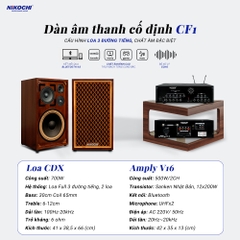 DÀN ÂM THANH CỐ ĐỊNH CF1 !