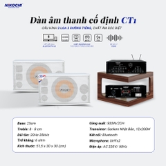 DÀN ÂM THANH CỐ ĐỊNH CT1