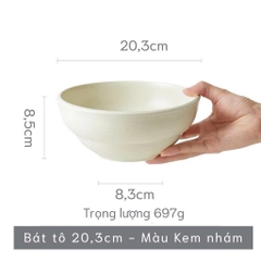 Bộ bát đĩa thượng hạng Minimalis - trơn pastel màu multi - GT04