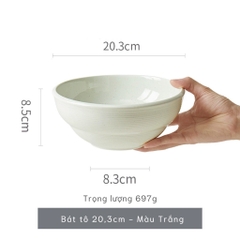 Bộ bát đĩa thượng hạng Minimalis - trơn pastel màu multi - GT04