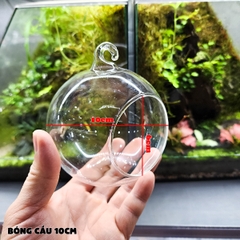 Bóng thủy tinh