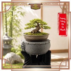 Tượng trống đá sa thạch