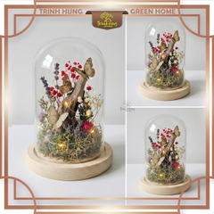 Bình thủy tinh nắp chụp đế gỗ