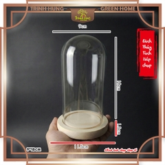 Bình thủy tinh nắp chụp đế gỗ